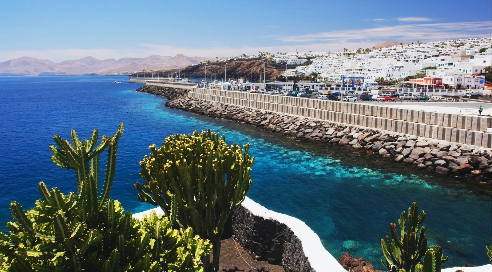 Puerto del Carmen harbour and seafront seen over cactus, with clear turquoise water and the island’s hills behind