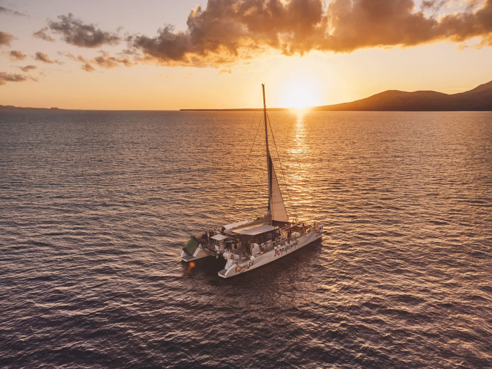 Lanzarote: Dolphin-Watching Sunset Cruise with Transfers