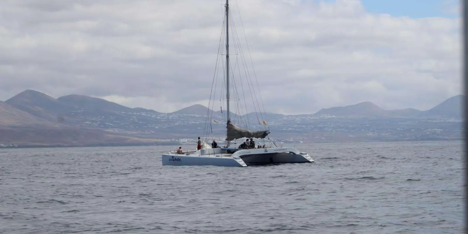 The WeWhale electric catamaran under way on a calm sea below Lanzarote's brown hills