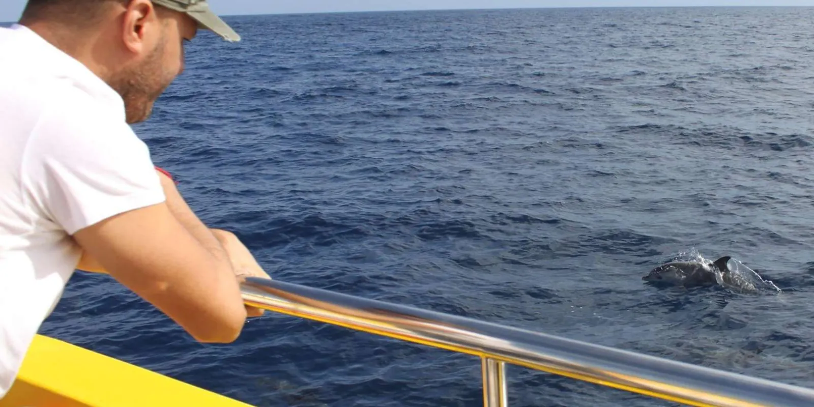 A guest leaning over the boat's yellow rail as dolphins surface alongside