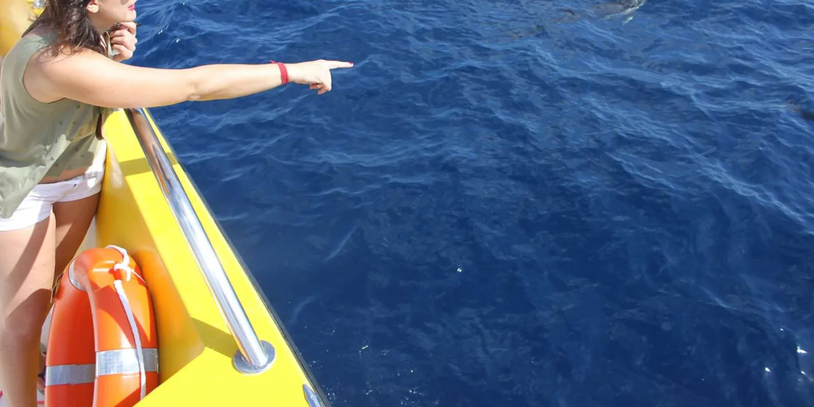 A guest pointing out dolphins over the yellow rail of the fast boat